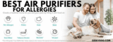 Top 10 Best Air Purifiers for Allergies 2022