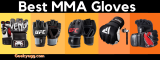 Top 10 Best MMA Gloves 2022
