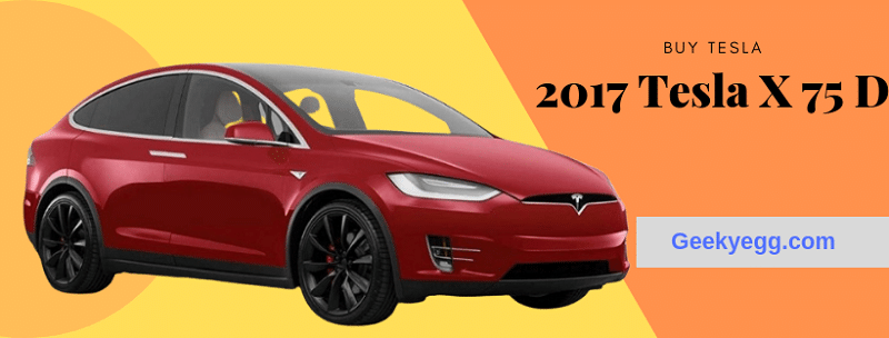 2017 Tesla X 75D
