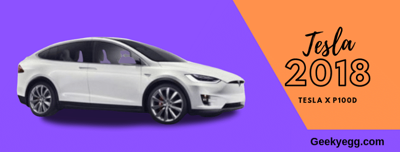 2018 Tesla X P100D
