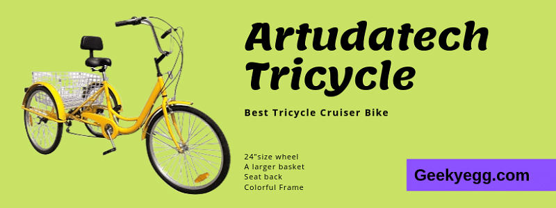 Cheap Tricycle Cruiser Bike 2020