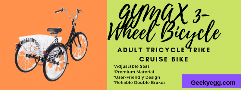 Adult Tricycle Trike Cruise Bike 2020