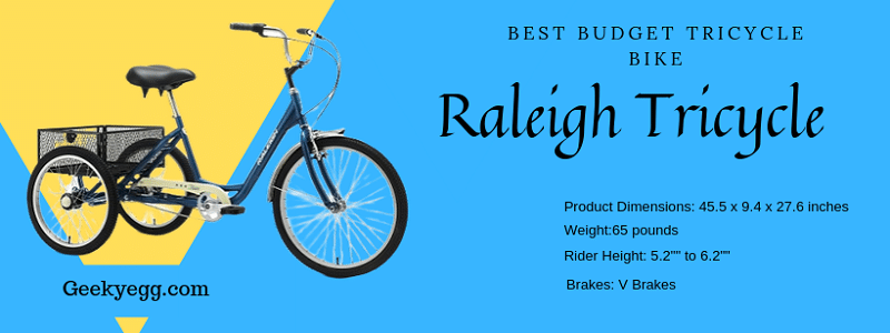 Best Budget Tricycle Bike 2020