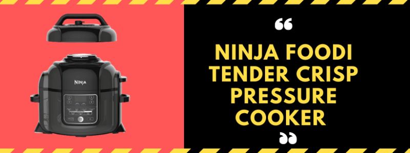 Best Egg Cooker 2021 Ninja Foodi Archives   Geeky Egg