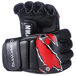 Top 10 Best MMA training gloves for beginners in 2022