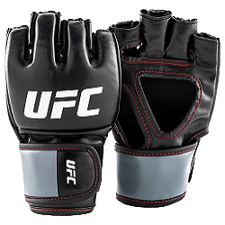 Top 10 Best MMA training gloves for beginners in 2022