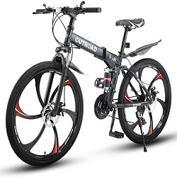 Max4out Folding Bike